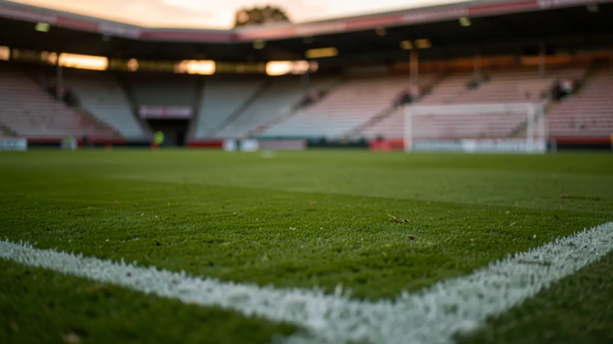 Generic image of a football pitch at dusk.