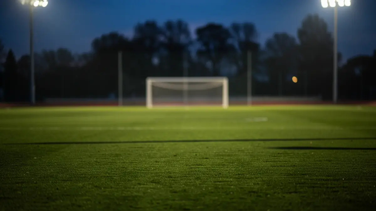 Generic image of a football pitch at dusk with floodlights.