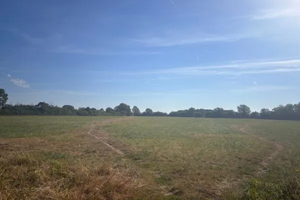 Ickenham marshes